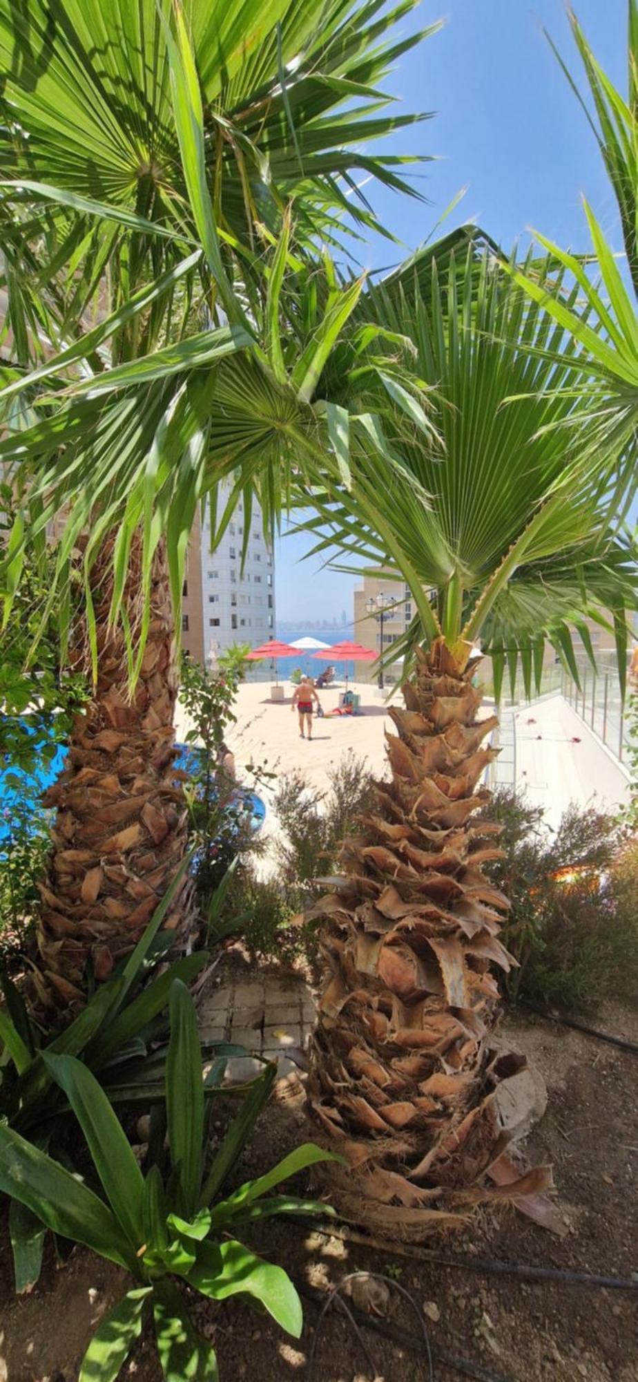 Nice Stay Trinisol 2 Benidorm Eksteriør billede
